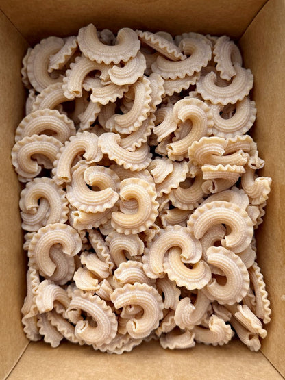 Pasta CSA (Winter 2026)