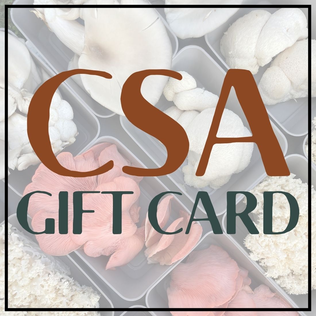 Mushroom CSA Gift Card